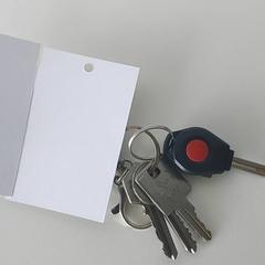 Nyckel, rapporterat av Regio Limburg - Leuven med iLost