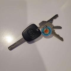 Nyckelring, rapporterat av Gemeente Duiven med iLost