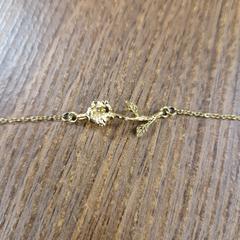 İLost kullanarak Pathé Leeuwarden tarafından bildirildiği gibi Bracelet