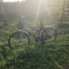 Fiets, as reported to iLost
