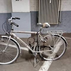 Gizonezkoen bizikleta lavenir Grijs, gisa salatu by Fietsdepot Hasselt iLost erabiliz