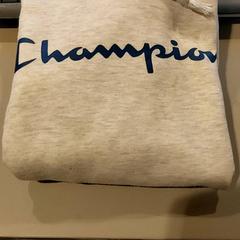 Trui Beige with champion erop, zoals gemeld door TU/e - Receptie Neuron met iLost