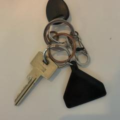 열쇠 (Wilde weide), iLost를 사용하여 Gemeente Amsterdam - Bureau Gevonden Voorwerpen에 보고됨
