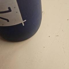 Botella, segundo informou GVB usando iLost