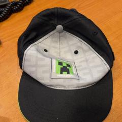 Pet Minecraft がiLostで Pathé Groningen によって報告されました