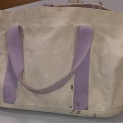 Bossa, segons ha informat Arriva West-Brabant mitjançant iLost