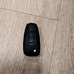 Autosleutel, gemeldet von RRReis Trein Amersfoort / Ede-Wageningen über iLost