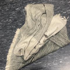 숄, iLost를 사용하여 Pathé Amersfoort에 보고됨