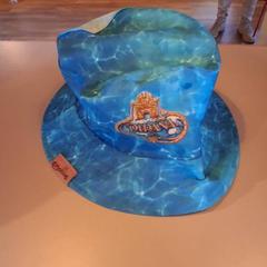 Hatt Pirana blauw, rapporterat av Familiepark Drievliet med iLost