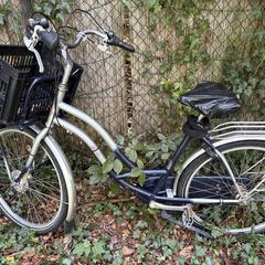 Fiets, iLost-i jakinarazi zaion moduan
