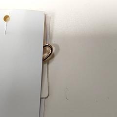 Smycken Oorbellen, rapporterat av Centraal magazijn med iLost