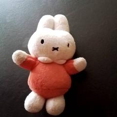 Xoguete de peluche, segundo informou Apenheul usando iLost
