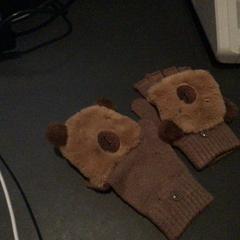 Rukavice, jak nahlášeno Van der Valk Hotel Amsterdam Zuidas pomocí iLost