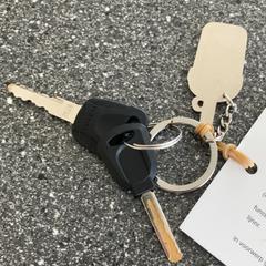 Klucze, zgłoszono przez Connexxion Amstelveen przy użyciu iLost
