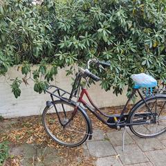 Fiets, as reported to iLost