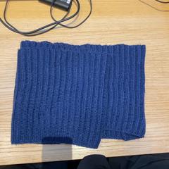 Shawl Blauw, as reported by Rijksmuseum van Oudheden using iLost