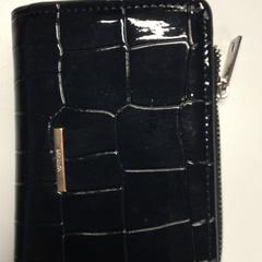 Pénztárca Connochie, amint azt Gemeente Haarlem az iLost segítségével jelentette.