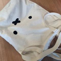 Bag, as reported by Connexxion Haarlem AML using iLost