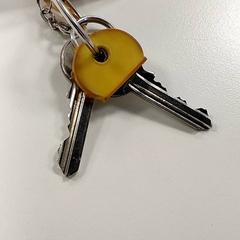 Sleutels がiLostで Centraal magazijn によって報告されました