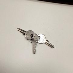 Sleutel, zoals gemeld door ilévia met iLost