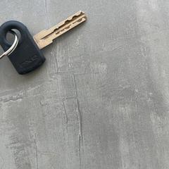 Nøkkel, som rapportert av Arriva Achterhoek-Rivierenland ved bruk av iLost