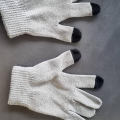 İLost kullanarak Burgers' Zoo tarafından bildirildiği gibi Eldivenler Grijs