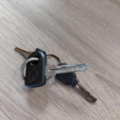 Klíče, jak nahlášeno EBS OV Poeldijk pomocí iLost