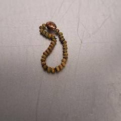 Pulseira, segundo informou Keolis Lund usando iLost