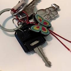 Klíče, jak nahlášeno Ziekenhuis Oost-Limburg pomocí iLost