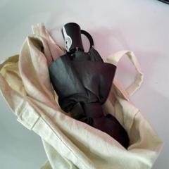 Bag, as reported by Twisto using iLost