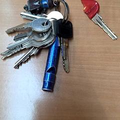 Klucze, zgłoszono przez Gemeente Zutphen przy użyciu iLost