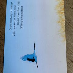 Afscheidskaart, iLost-i jakinarazi zaion moduan