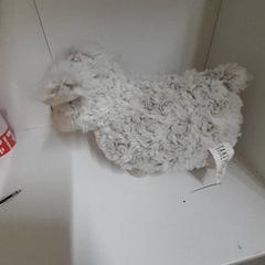 Plyšová hračka Schaap, ako bolo nahlásené IKEA Utrecht pomocou iLost