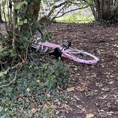 Roze meisjes fiets, jak zgłoszono do iLost