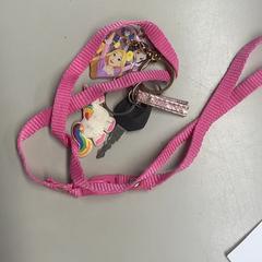 Sleutel Met keykoord, zoals gemeld door Burgers' Zoo met iLost