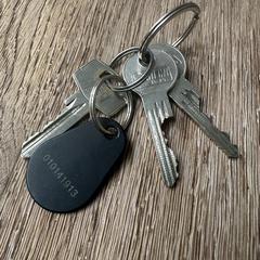 Sleutelbos, jak zgłoszono do iLost