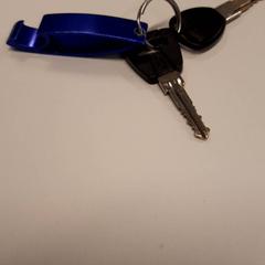 Schlüssel, gemeldet von Zuyderland MC Sittard-Geleen über iLost