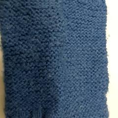 Klær Handschoenen, som rapportert av Regio West-Vlaanderen ved bruk av iLost