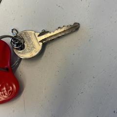 Kľúč, ako bolo nahlásené GVB pomocou iLost