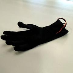 Glove, as reported by TU/e - Receptie MetaForum using iLost