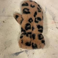 Mitten, as reported by Artis using iLost