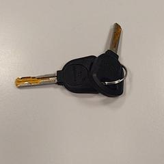 Kľúče, ako bolo nahlásené Vrije Universiteit Amsterdam pomocou iLost