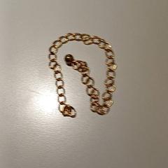 Halskette, gemeldet von Padualaan 97 über iLost