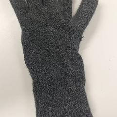 Vestiario - Handschoen Grijs, come riportato da Centraal magazijn utilizzando iLost