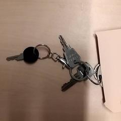 Giltzak, gisa salatu by RET iLost erabiliz