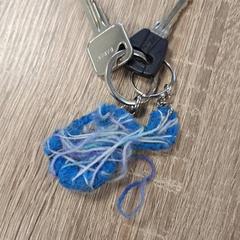 자전거 열쇠 zwart, iLost를 사용하여 RRReis IJssel-Vecht Lelystad에 보고됨