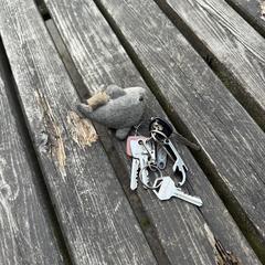 Sleutels, jak bylo nahlášeno na iLost