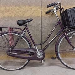 Damesfiets Gazelle, som rapportert av Gemeente Nijkerk ved bruk av iLost