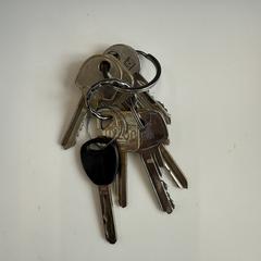 Sleutels, iLost-i jakinarazi zaion moduan