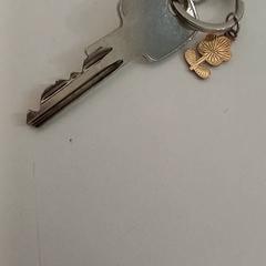 Nyckelring, rapporterat av allGo Almere med iLost